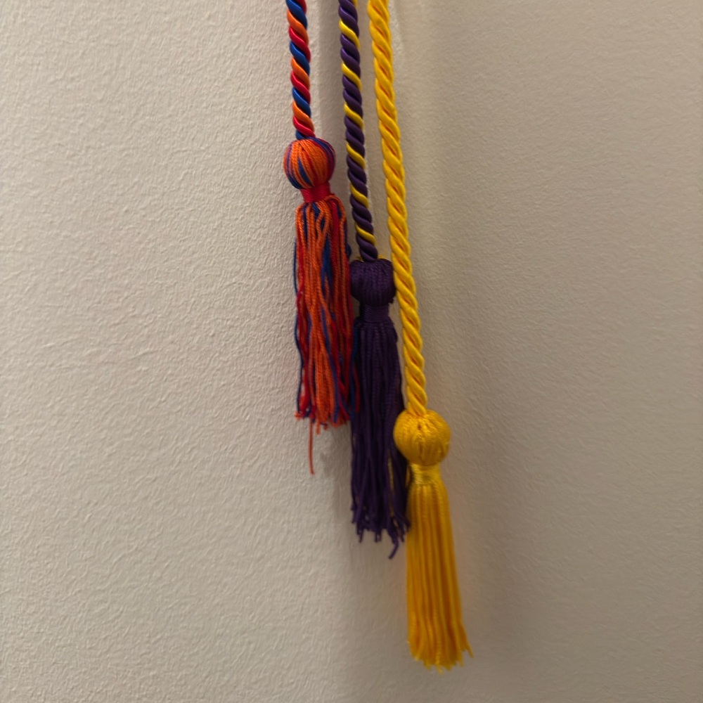 Multicolor Graduation Cords | university honor tassels cords - Picture 2 of 4